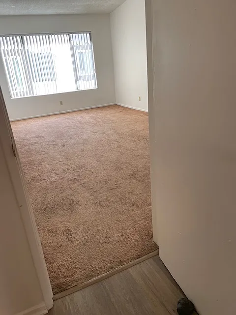 1 bed, 530 sqft, $1,800 — Photo 4