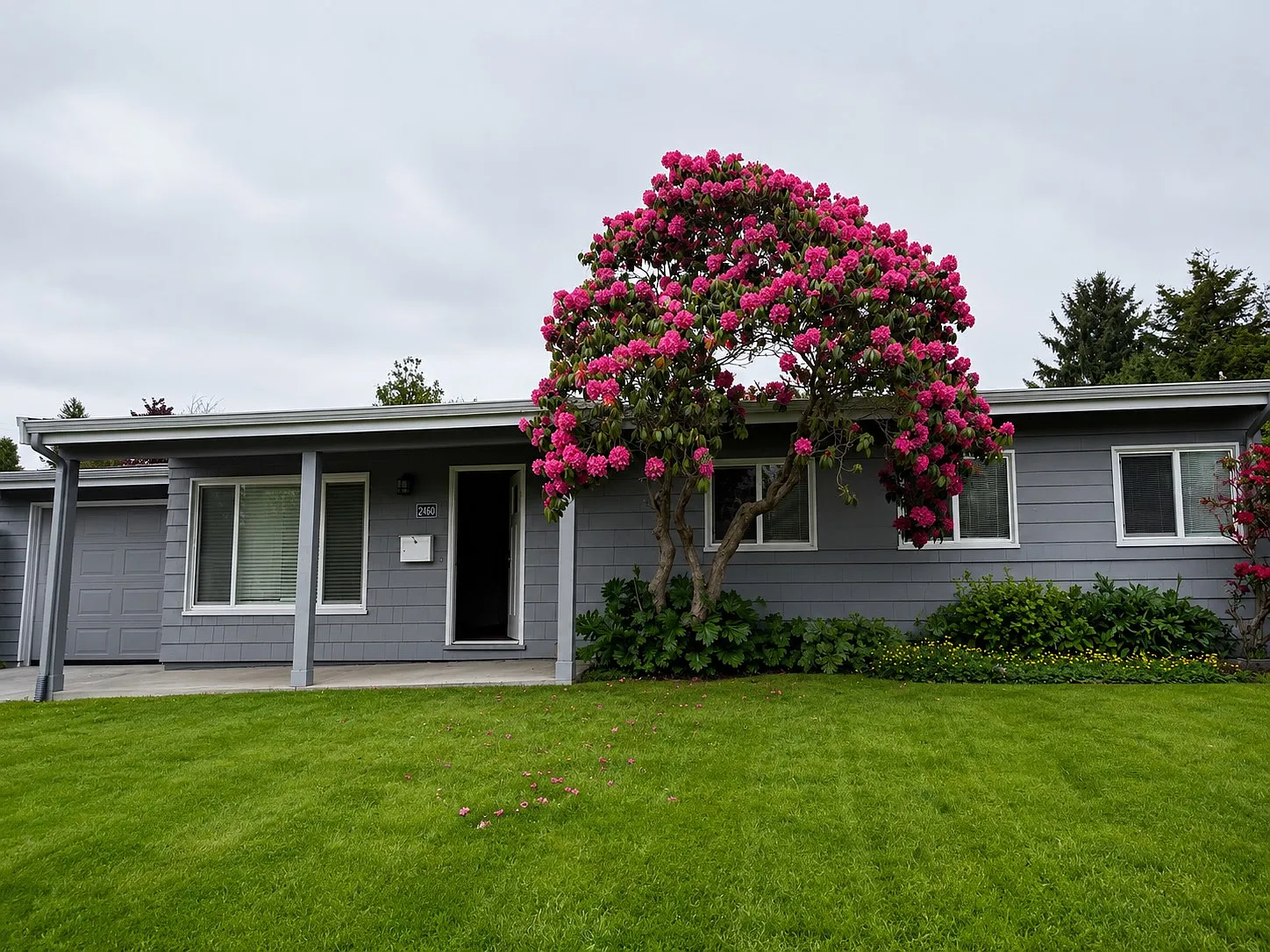 18th St, Eureka — Photo 1