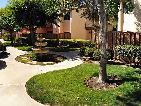 Complex Grounds