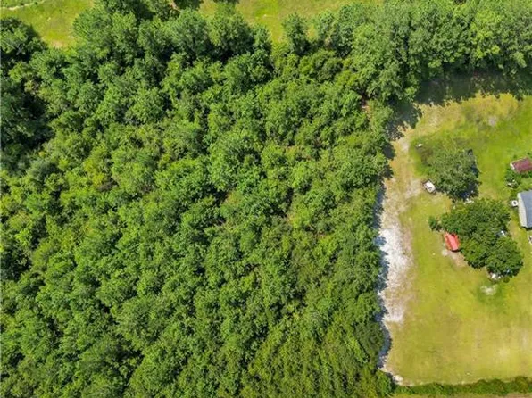 TRACT 1 Bay Rd, Blackshear, GA 31516