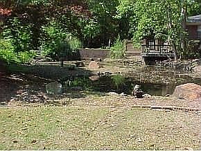 2nd image of 4075 Goshen Lake Dr S