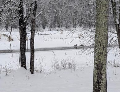 N9374 Up River Rd, Phillips, WI, 54555