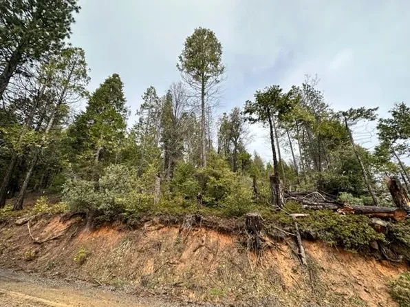 19950 Mountain Misery Rd, Twain Harte, CA 95383