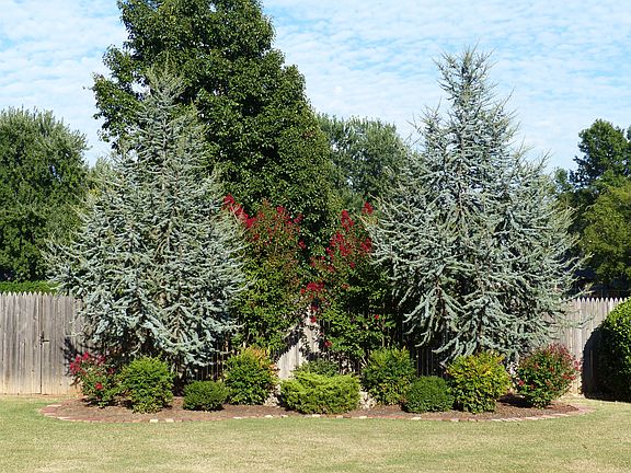 Some of back landscaping