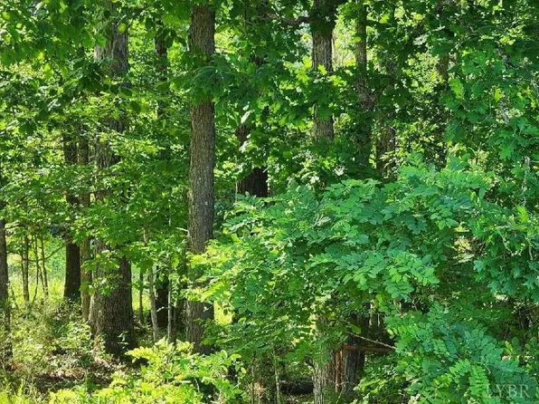 0 Rocky Ford Rd #1, Bedford, VA 24523