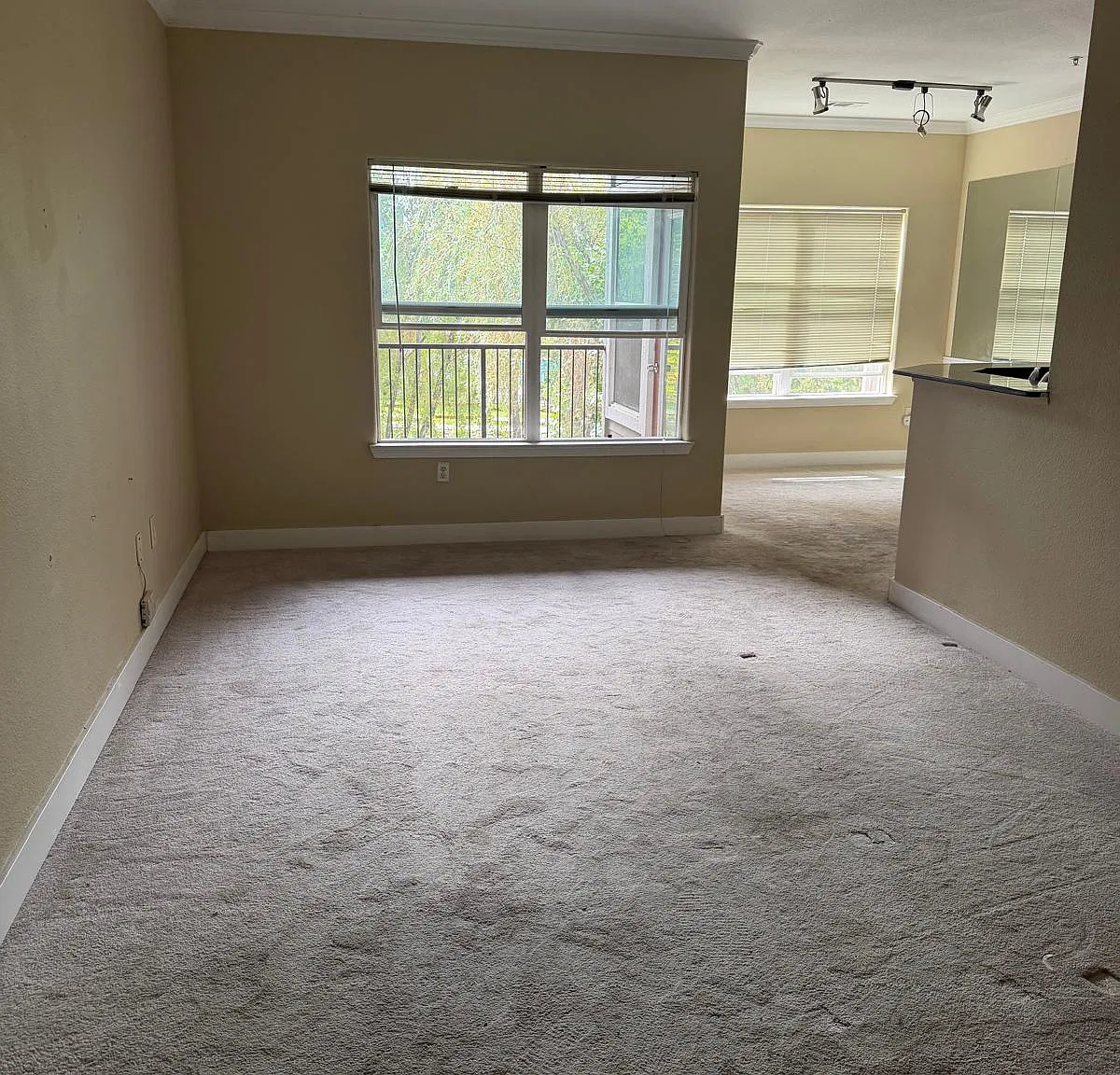 3 bed, 1245 sqft, $3,000 — Photo 2