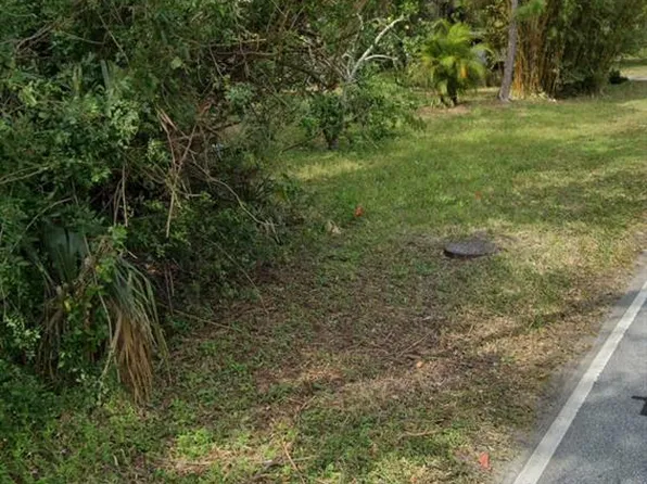 960 McDonald Rd Lot 15, Pt Orange, FL 32129