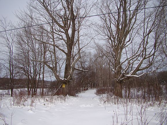 West entrance from road
