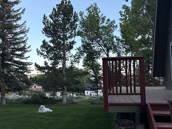 Part of lush yard