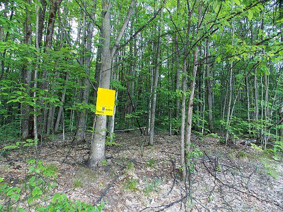 4th image of Safari Trail 10 Acres