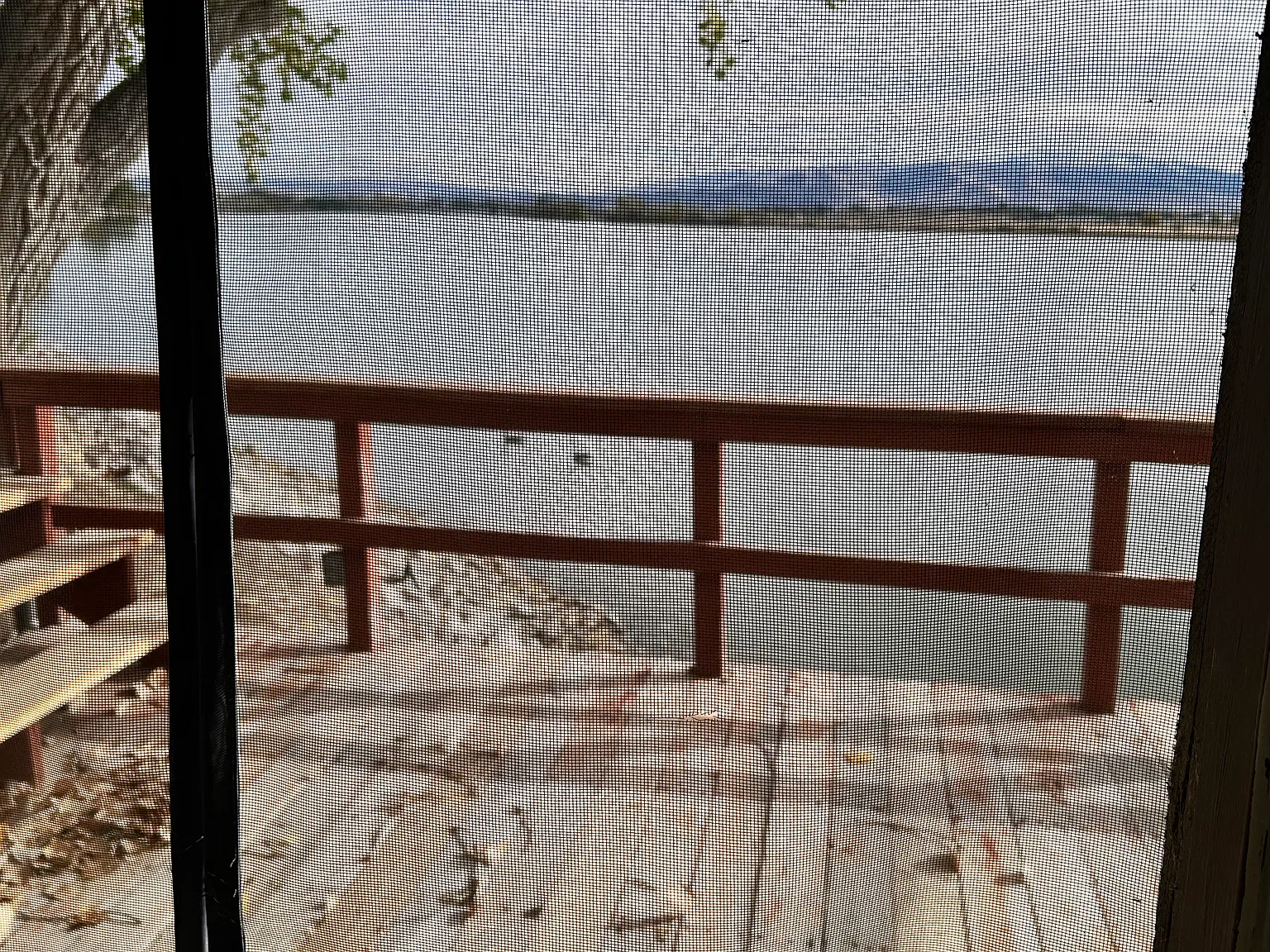 2 bed, 1100 sqft, $1,800 — Photo 1