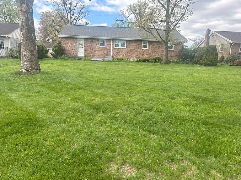 341 Jackie Ave — Photo 8