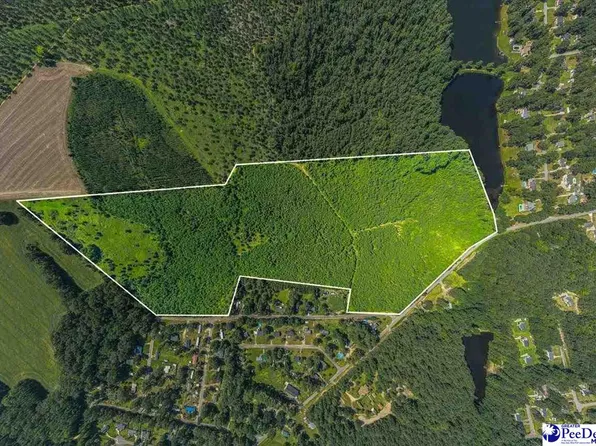 589 Bridlewood Rd, Cheraw, SC 29520