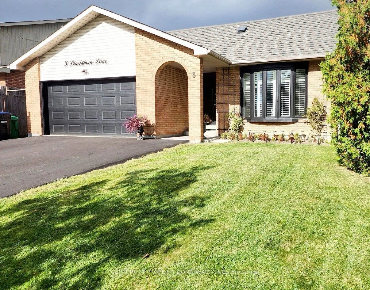 3 bed, $2,800 — Photo 1