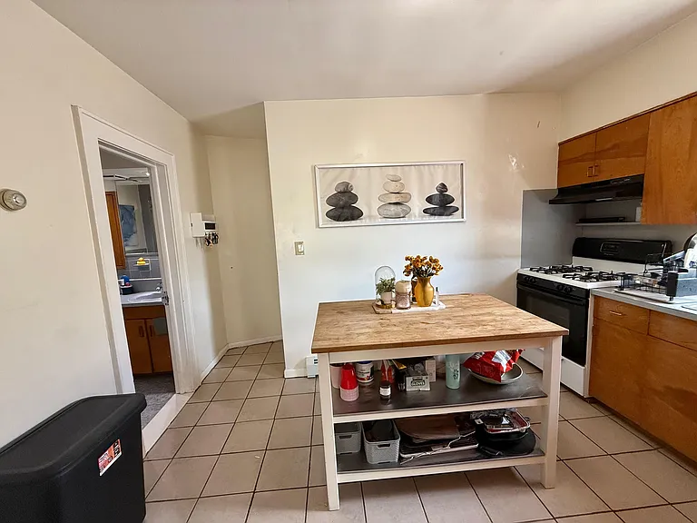 165-167 Davis Ave #3 — Photo 3