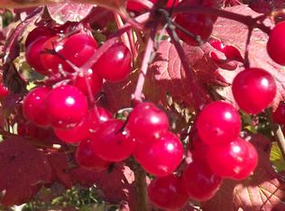 W134N6830 Wild Rose Ct, Menomonee Falls, WI 53051