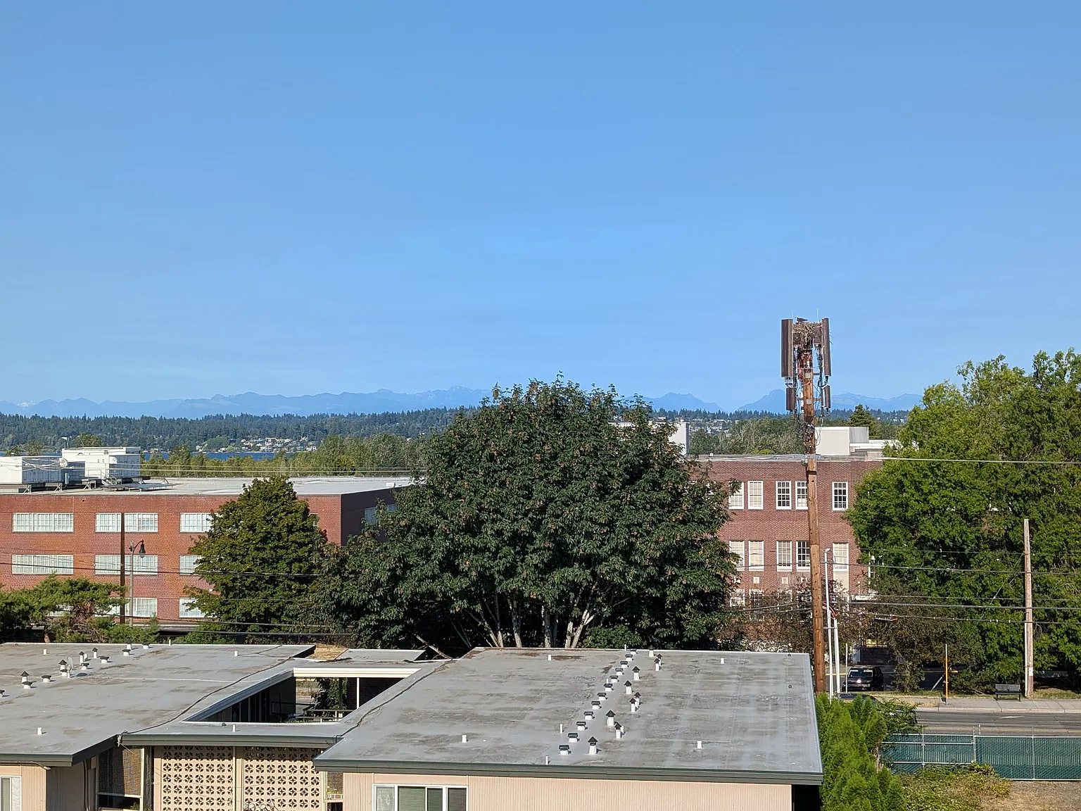 NE 75th St, Seattle — Photo 2