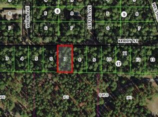 2905 Kerry St, Inverness, FL 34452