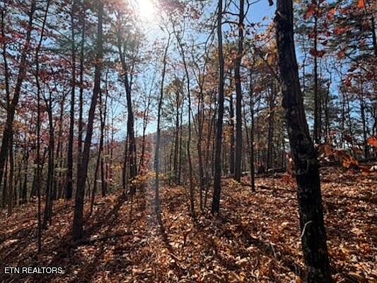 3rd image of PARCEL 53-050.00 Obes Branch Rd