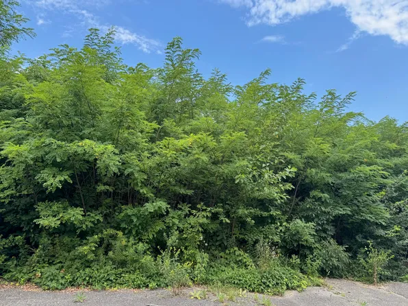 354 Ketill Trl, Crown Pt, IN 46307