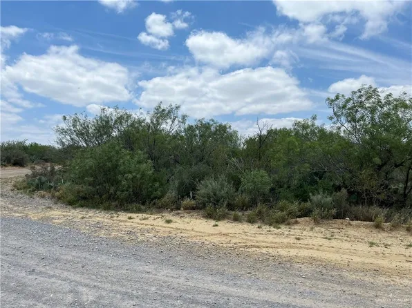 319 Pelican St, Zapata, TX 78076