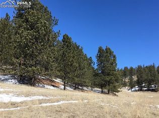 197 Rabbit Cir, Florissant, CO 80816
