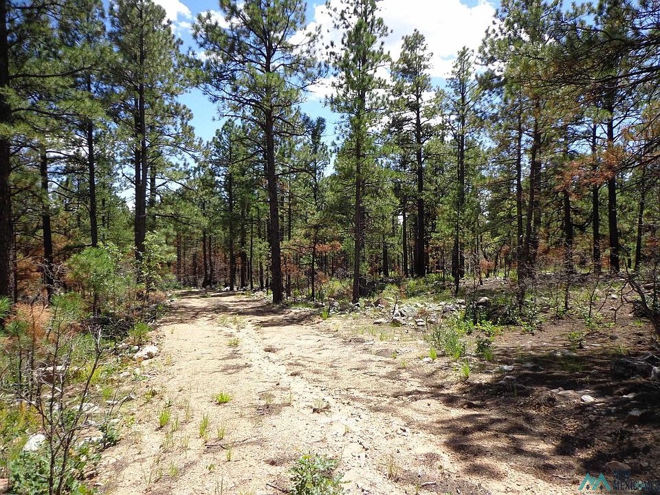 Behind 1161 Nm 434, Guadalupita, NM 87722 MLS 20224770 Zillow