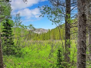 7 Silver Creek Rd, Idaho Springs, CO 80452