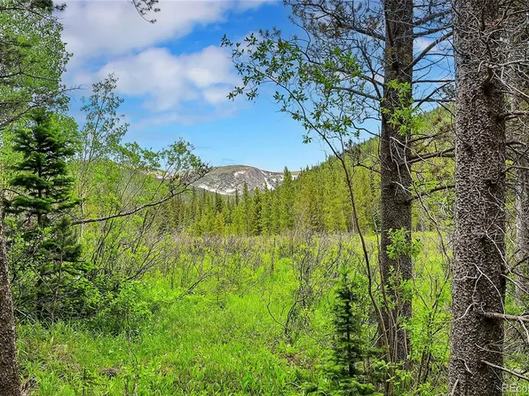 Lot 7 Silver Creek Road, Idaho Springs, CO 80452