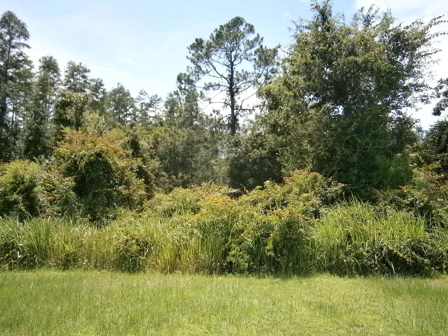 2 bed, 704 sqft, $1,100 — Photo 2