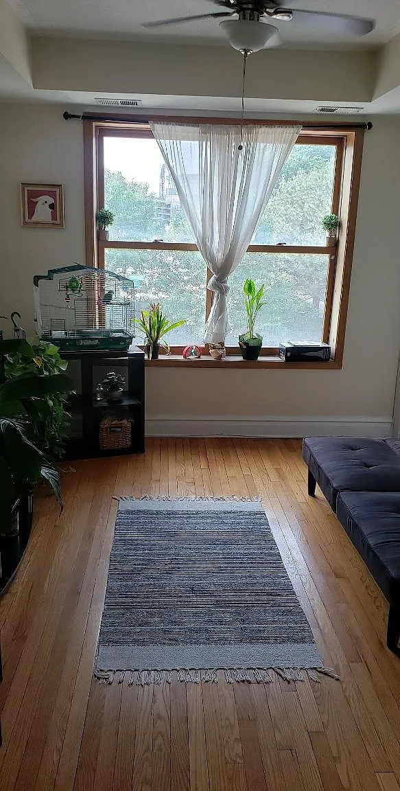 2 bed, 600 sqft, $1,500 — Photo 2