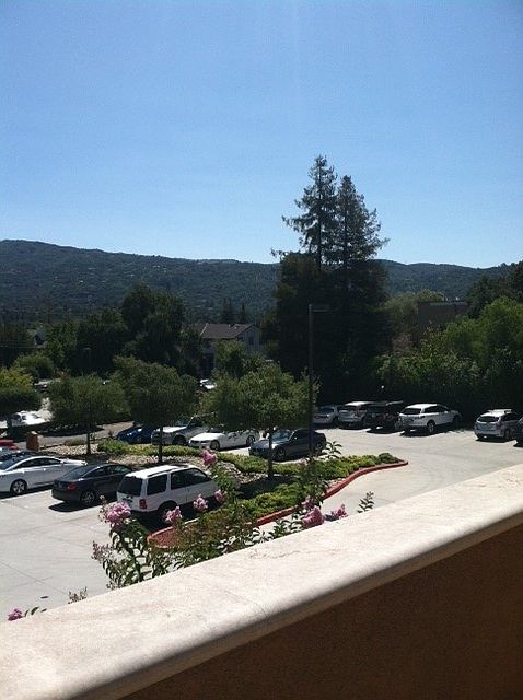 view from deck