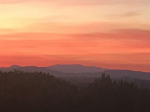 Gorgeous backyard Sunsets 