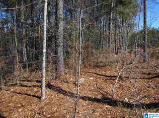 2 Rock Creek County Rd #4312, Wedowee, AL 36278