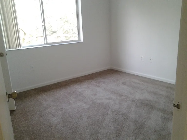 The Mirage Apartments — Photo 116