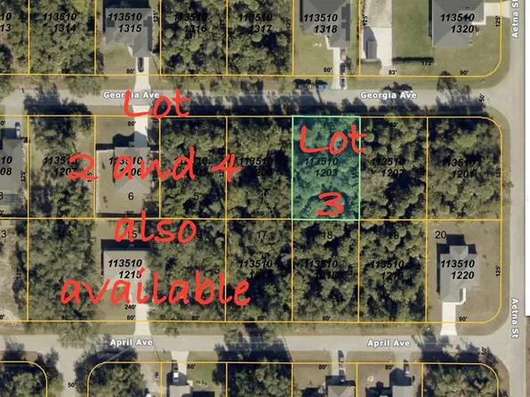 Georgia Ave Lot 4, North Pt, FL 34288