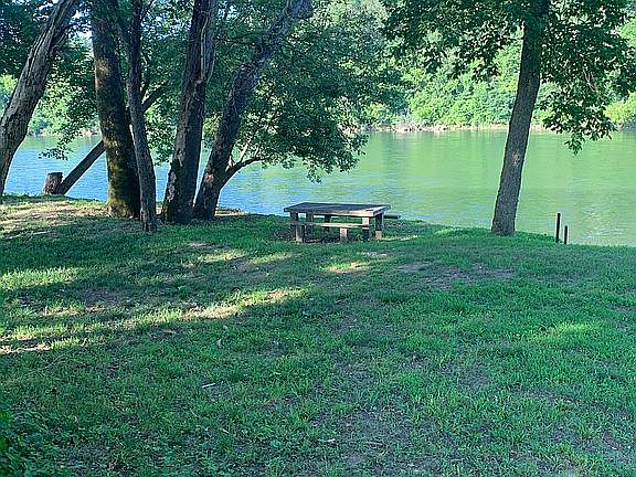 Lower level, complete shade!