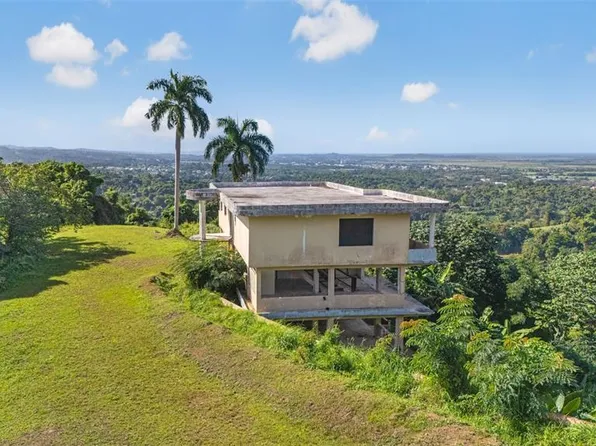 967 Bo Zarzal, Rio Grande, PR 00745