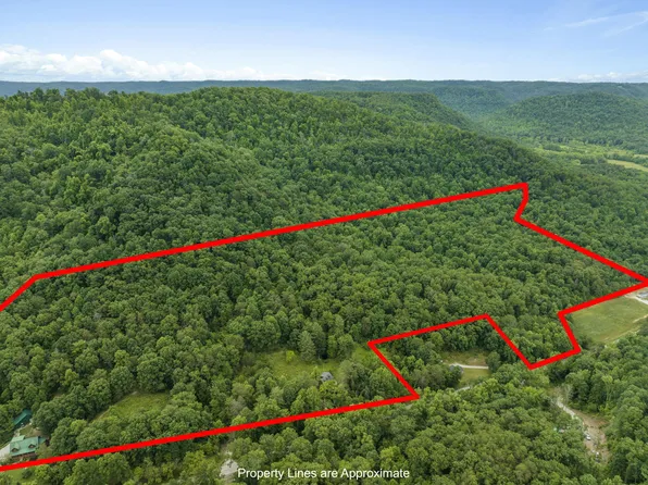 1808 Red Lick Rd, Irvine, KY 40336