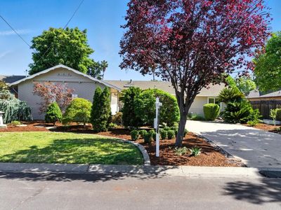 1220 McBain Ave, Campbell, CA, 95008