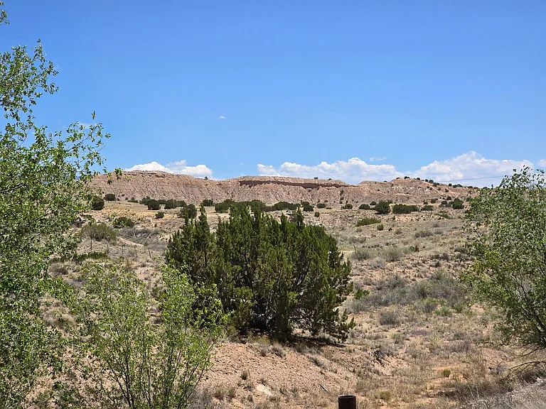 18340 US Highway 84/285 — Photo 23