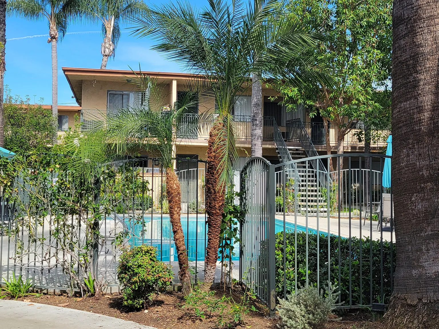 Palm Court Apartments — Photo 4