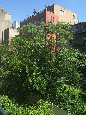 Rented by Fischer Group Realty, LLC | media 23