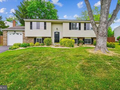 4407 Vantage Ct, Alexandria, VA, 22306