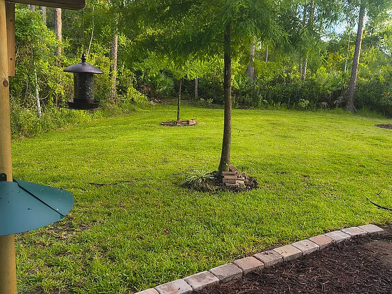 63 Scotch Pebble Dr — Photo 5
