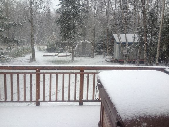 View from deck