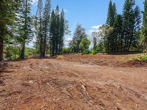4th image of 2175 Kauhikoa Rd #7