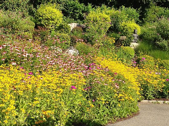 Landscaping left of driveway