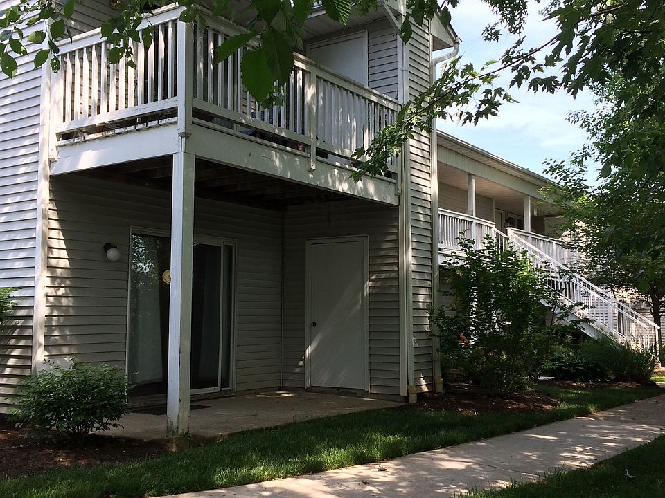 Back Patio
