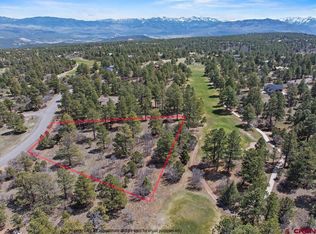 1325 Marmot Drive, Ridgway, CO 81432